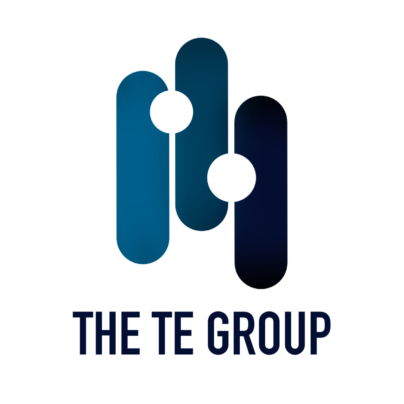 The TE Group